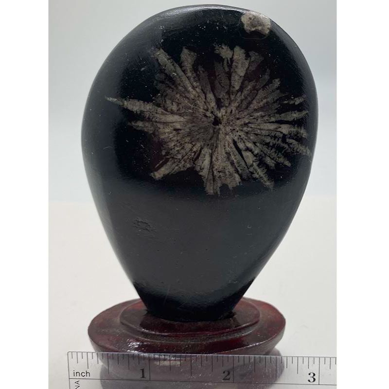 Chrysanthemum Stone Image
