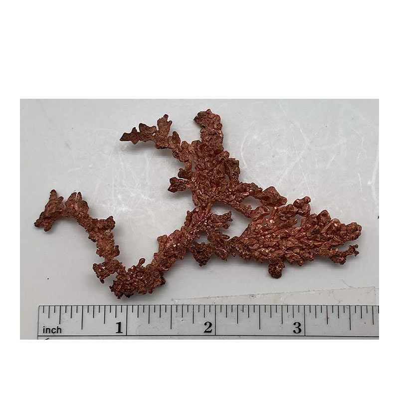 Copper, dentritic from Arizona