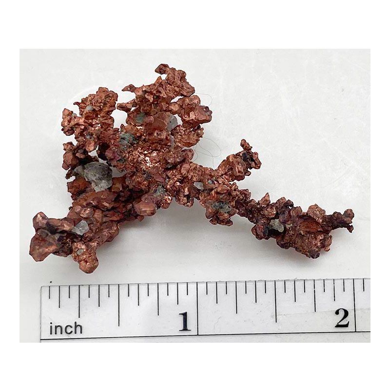 Copper, dentritic from Arizona