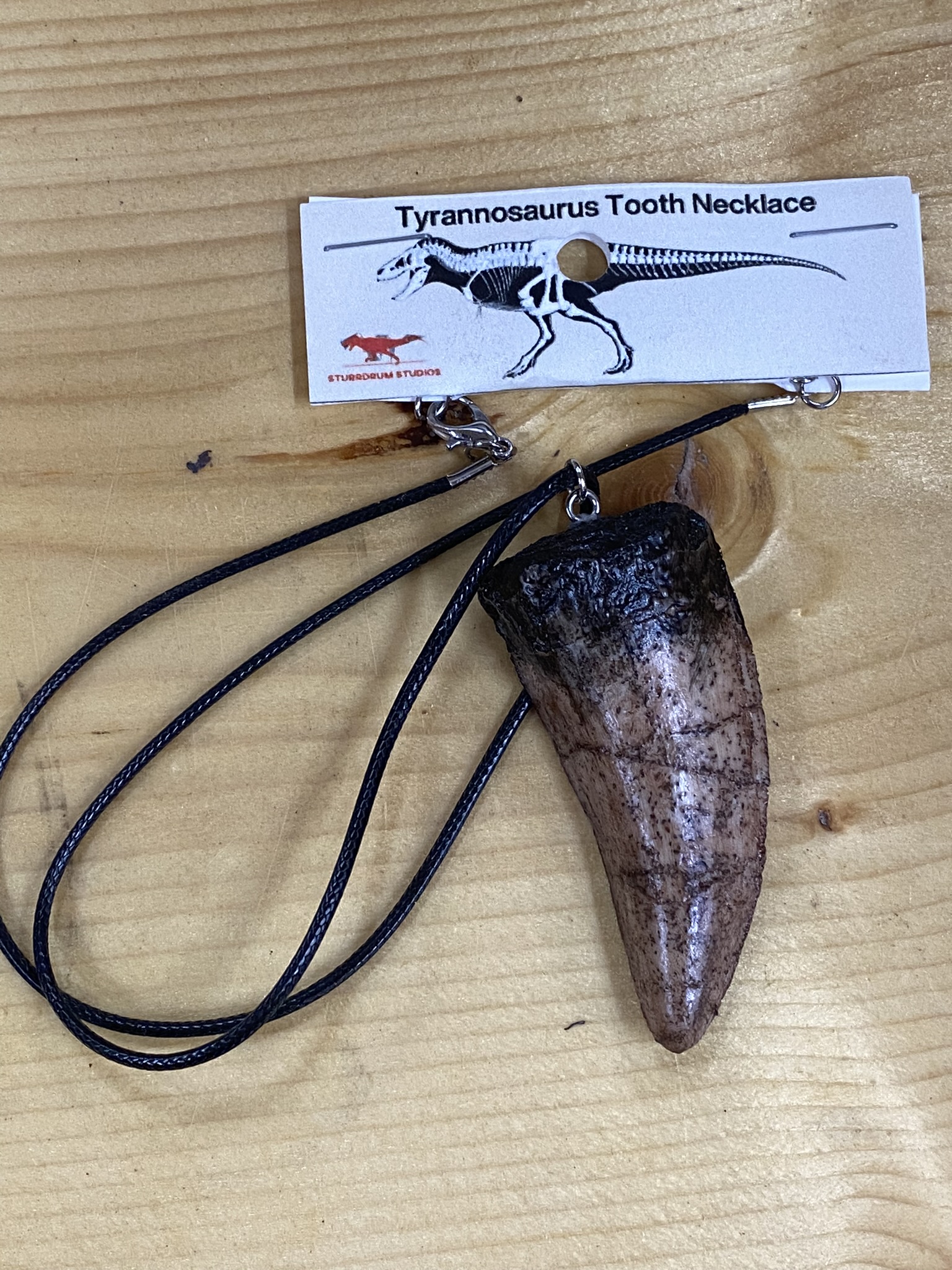 T-Rex Tooth Necklace  